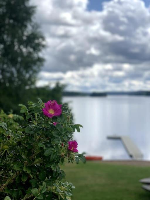 Large Cozy Villa Between Stockholm And Oslo Åmotfors Dış mekan fotoğraf